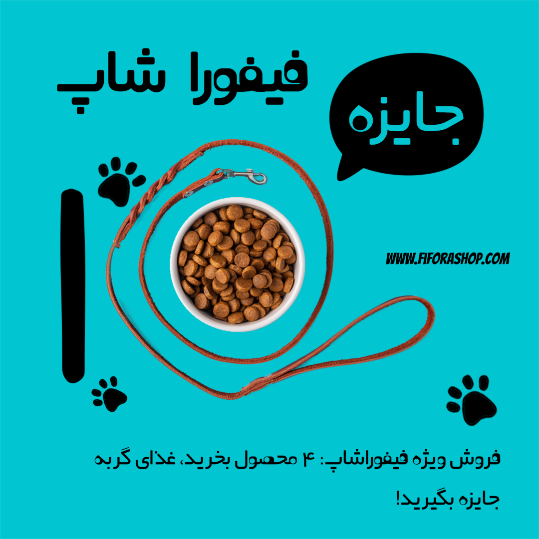 فروش ویژه فیفوراشاپ: ۴ محصول بخرید، غذای گربه جایزه بگیرید!