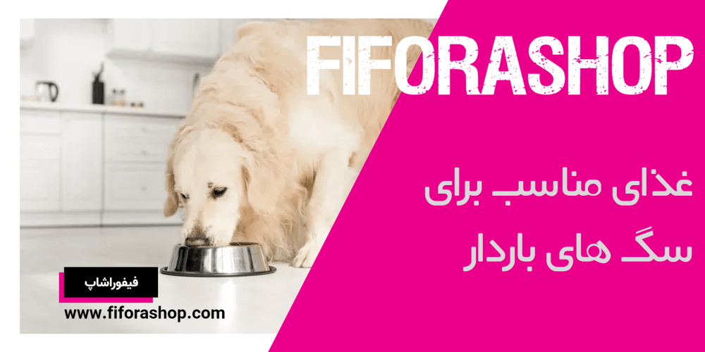 غذای مناسب برای سگ های باردار